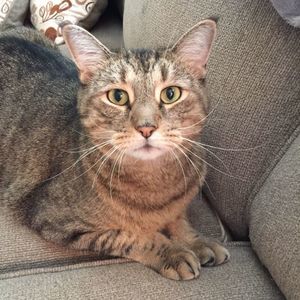 Meet your Posher, Connie